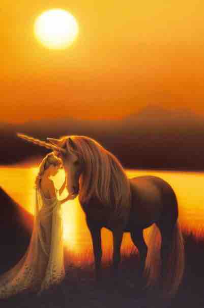 unicorn in the sunset