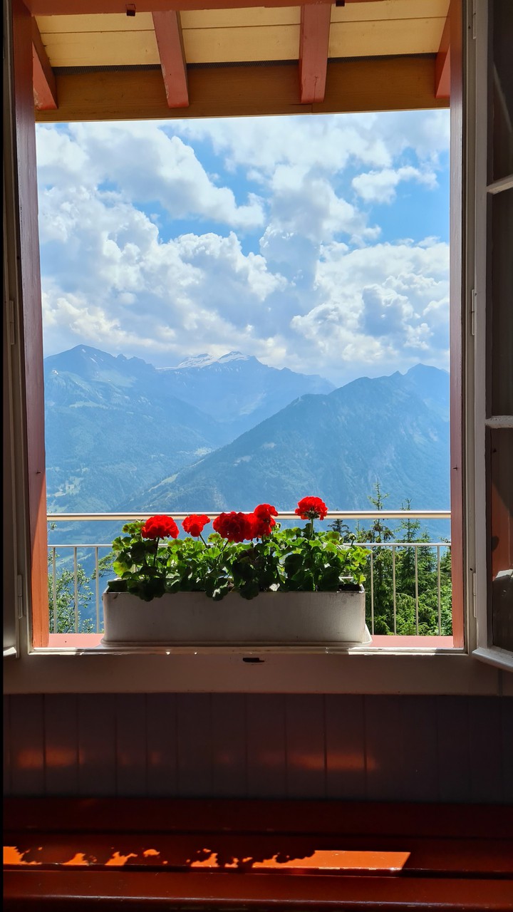 Harder kulm