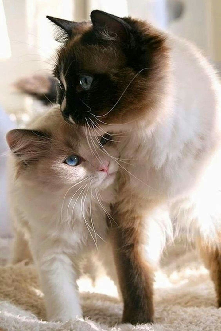 :-*