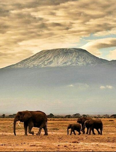 Tanzania - Africa
