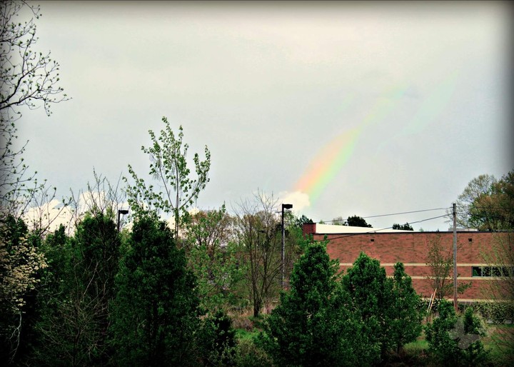rainbow