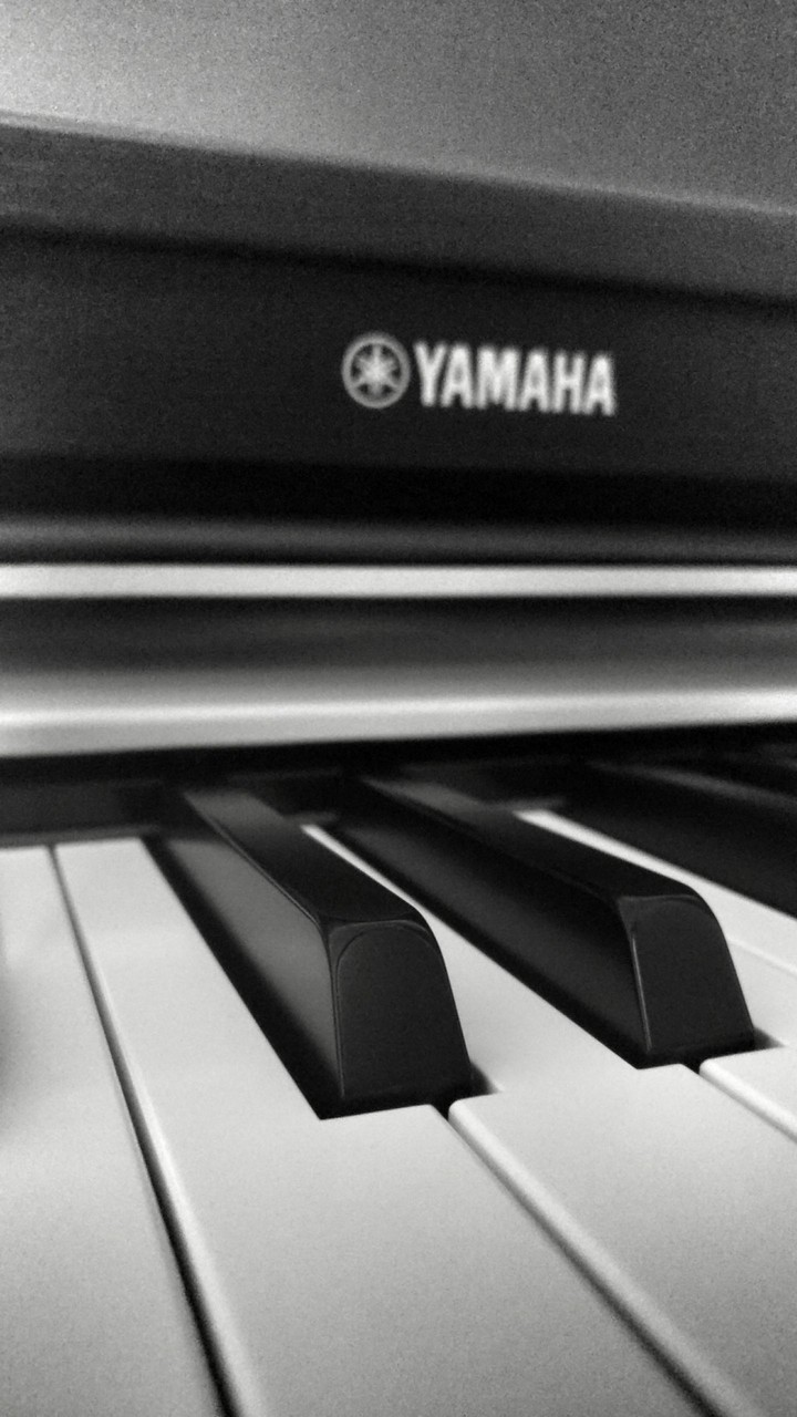 Yamaha keyboard -  low key HD wallpaper