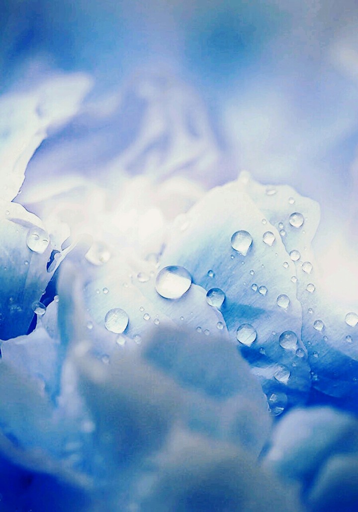 blue pions