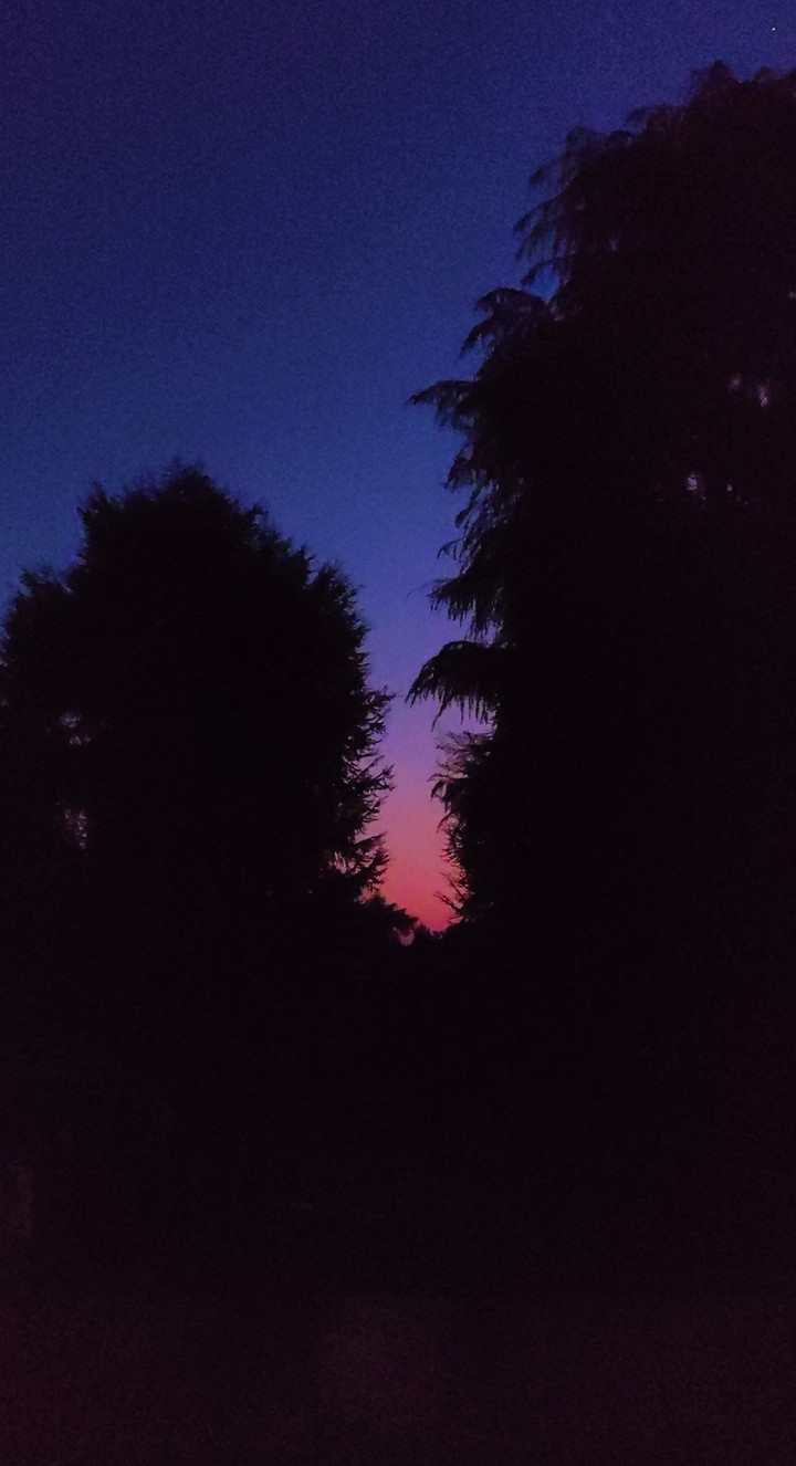 sfumature