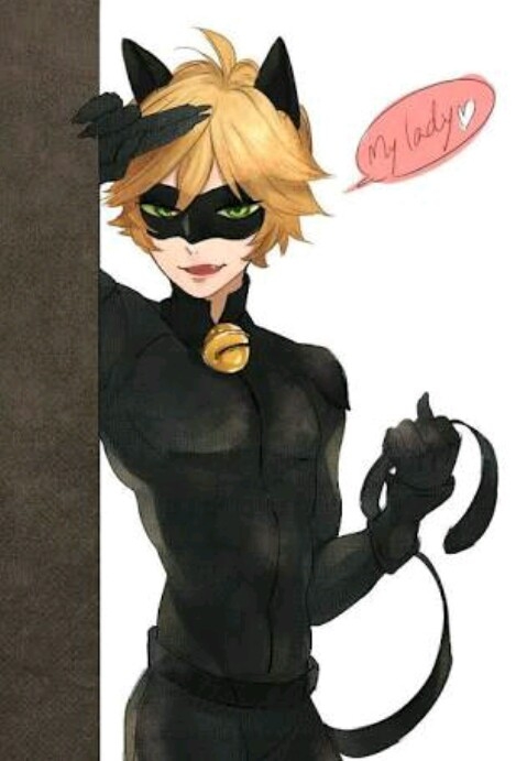 ladybug