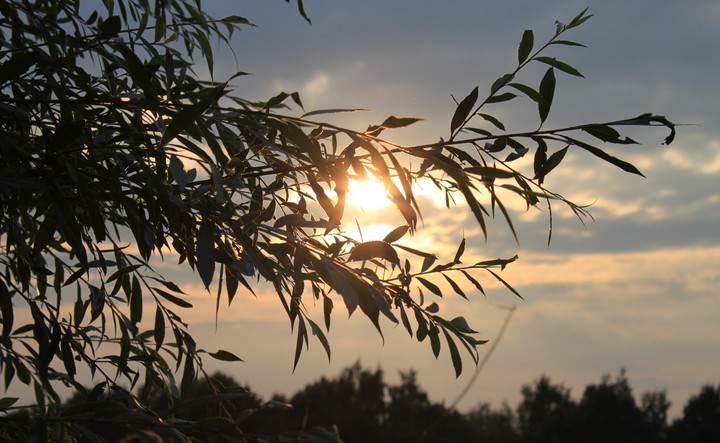 evening