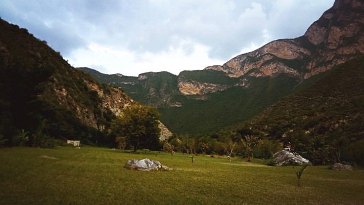 #mountains #tree #tranquility #campo
