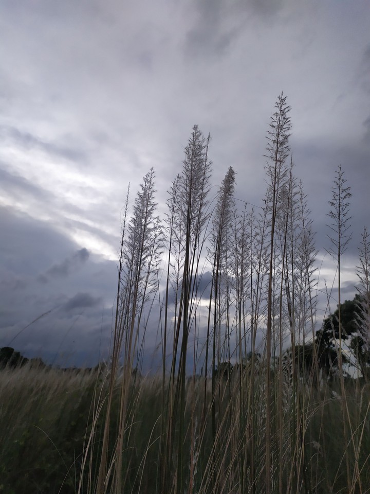 Just before it rains!