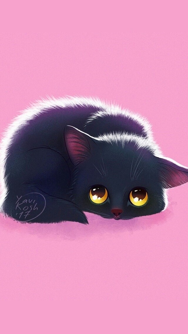 Черный котик