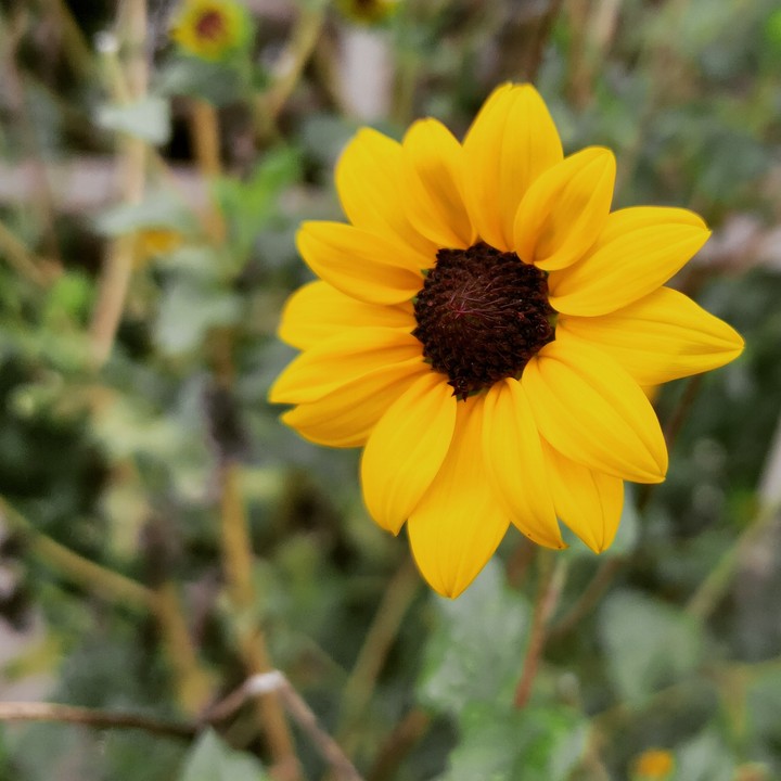 beauty of the nature
