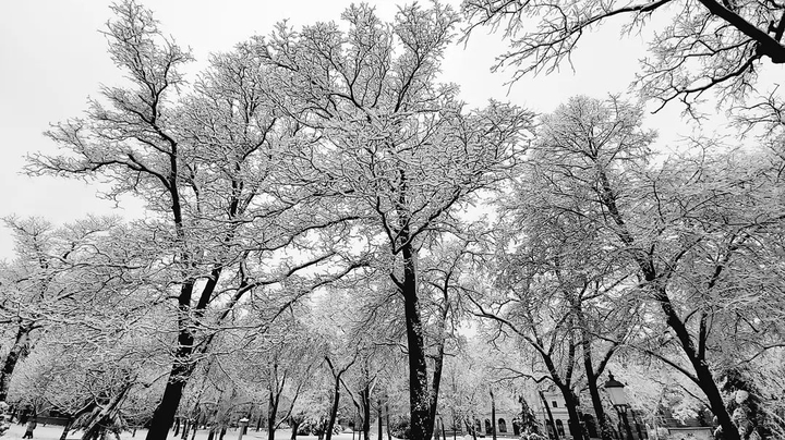 Snowland