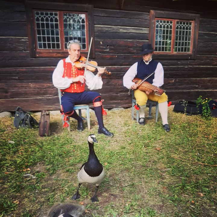 Skansen
