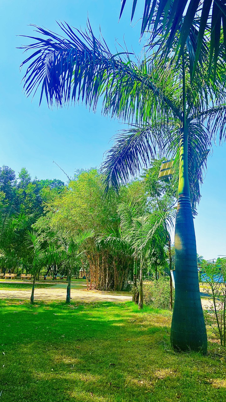 Nature at its best