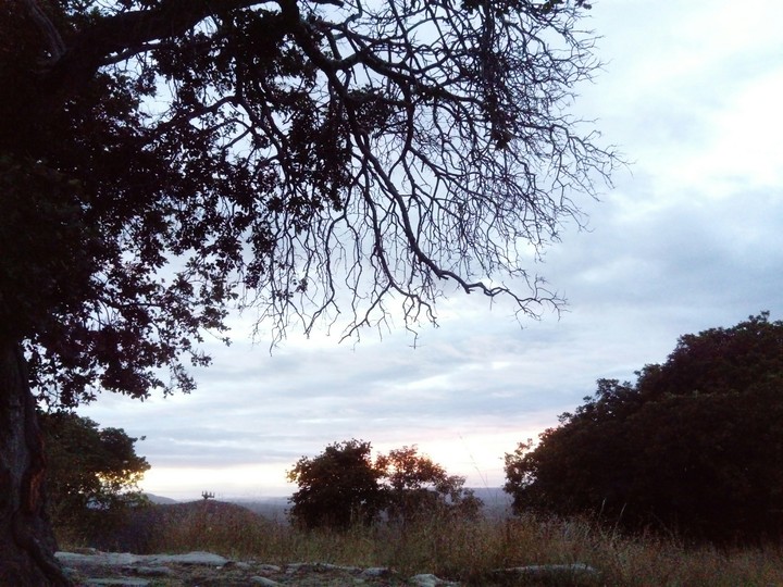 Natureza