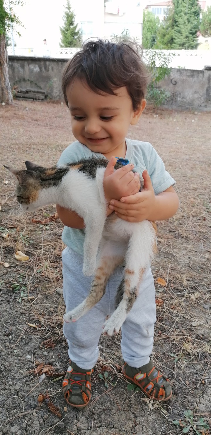 minik fıstıklar