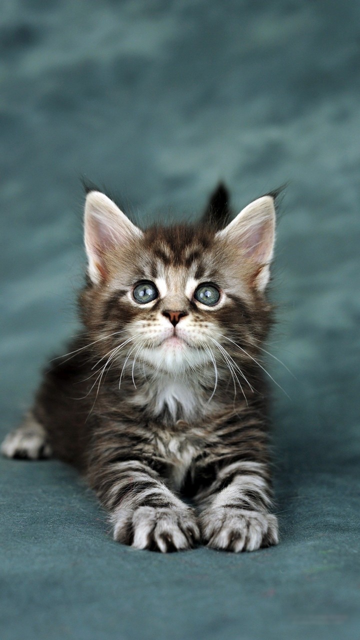 I see you...
