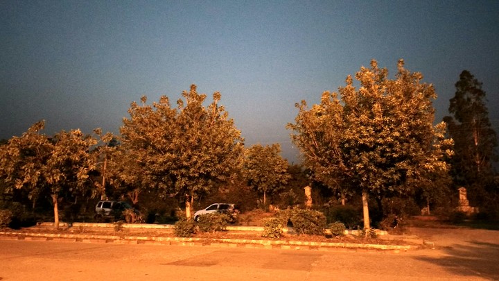 Dawn