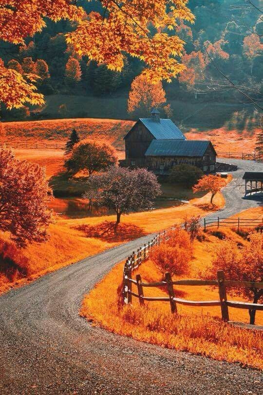 autumn