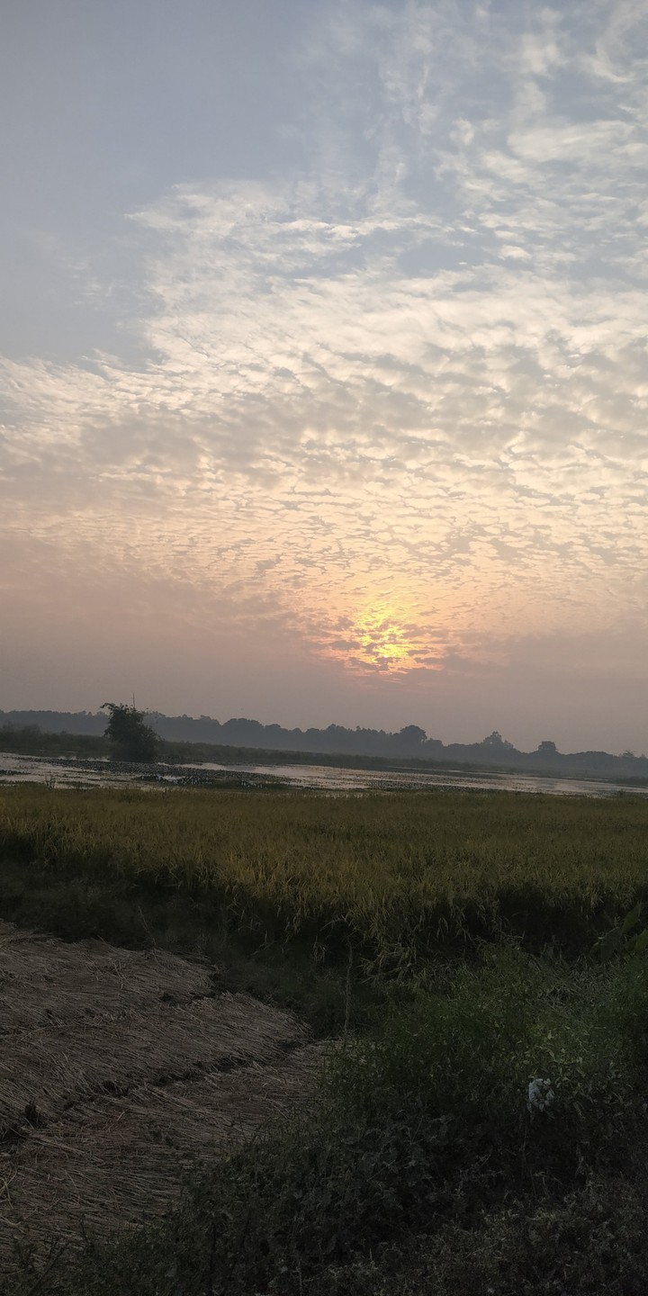 Village