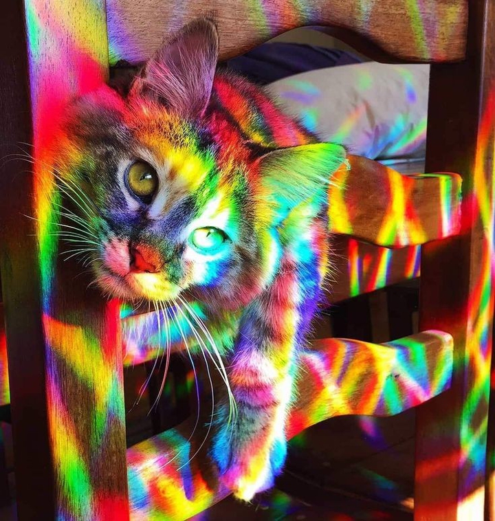 □■□`~===^====^===~`□■□