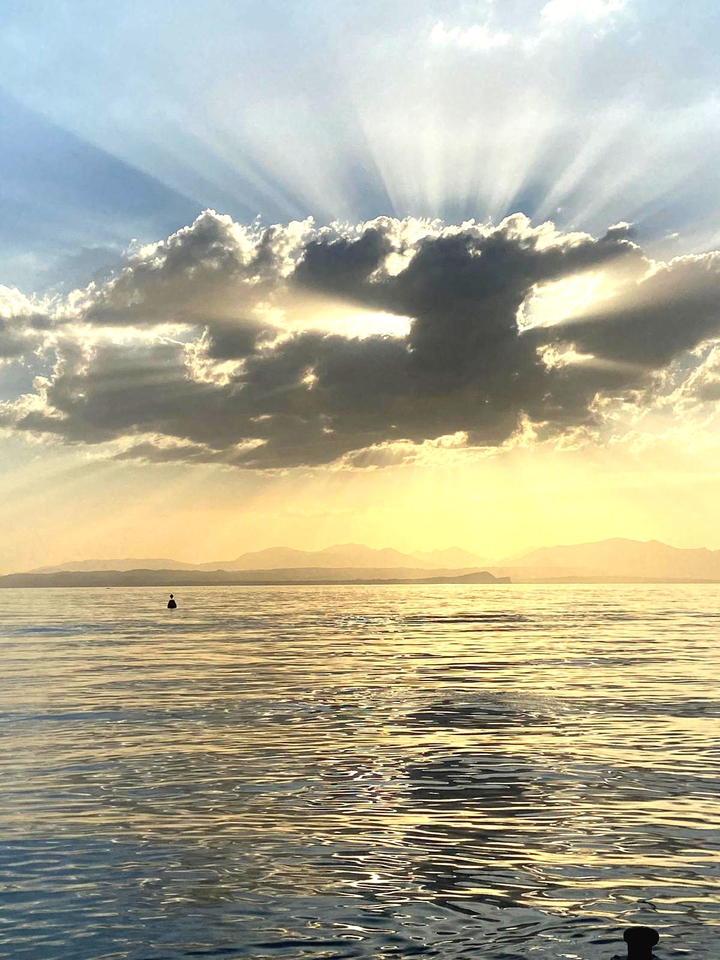 Vitamin Sea