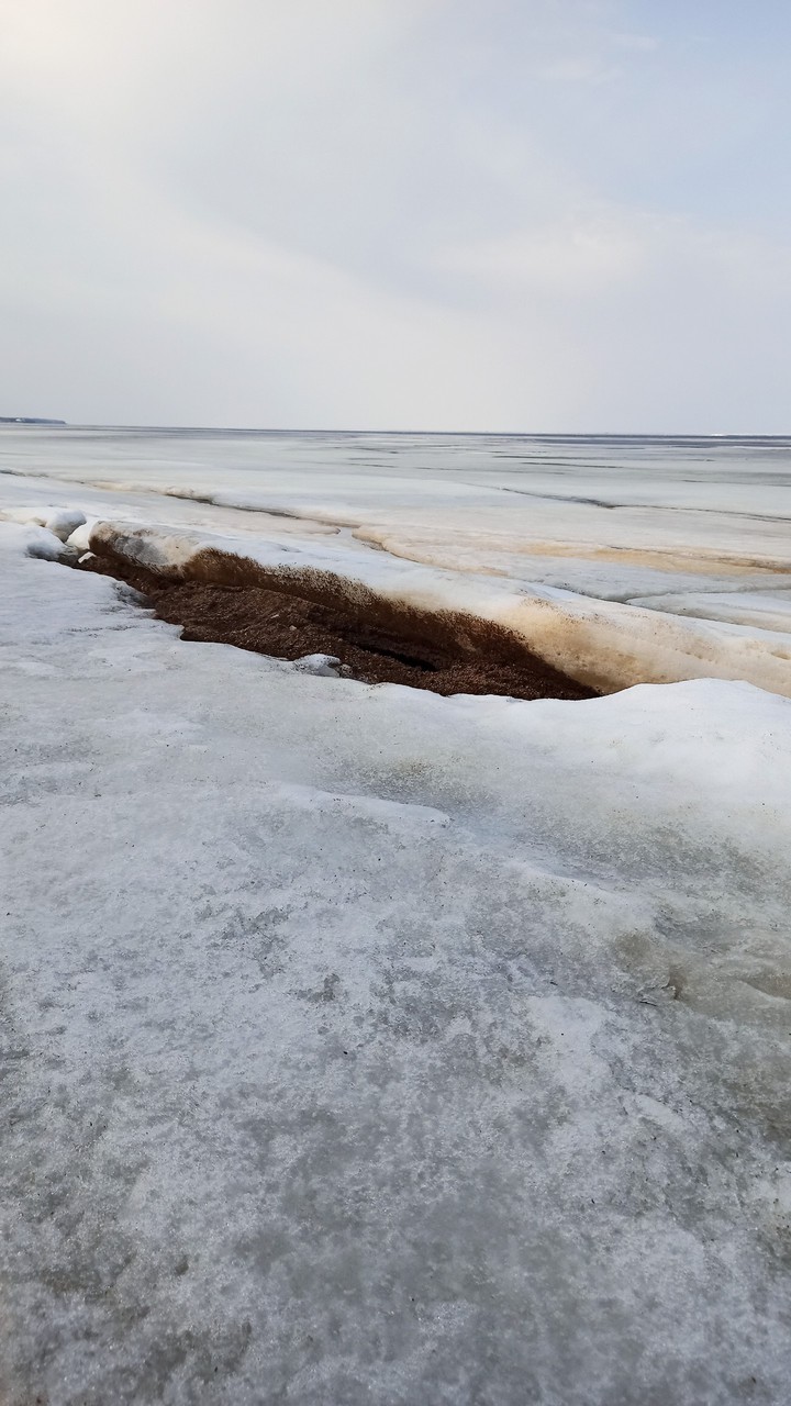 Финский залив