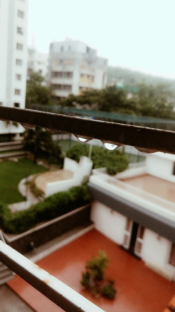 raindrops