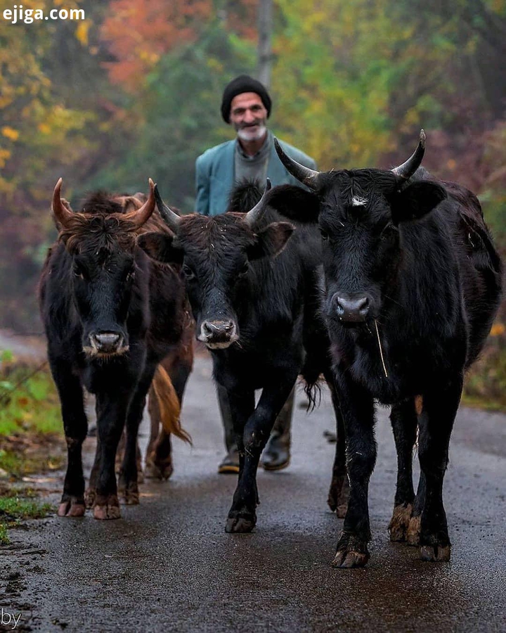 مرد روستایی شمال ایران