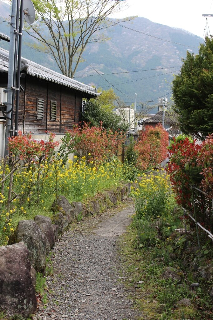 Yuhuin Lake Kinrinko