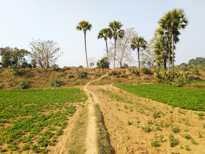 Natural view Of desi Village