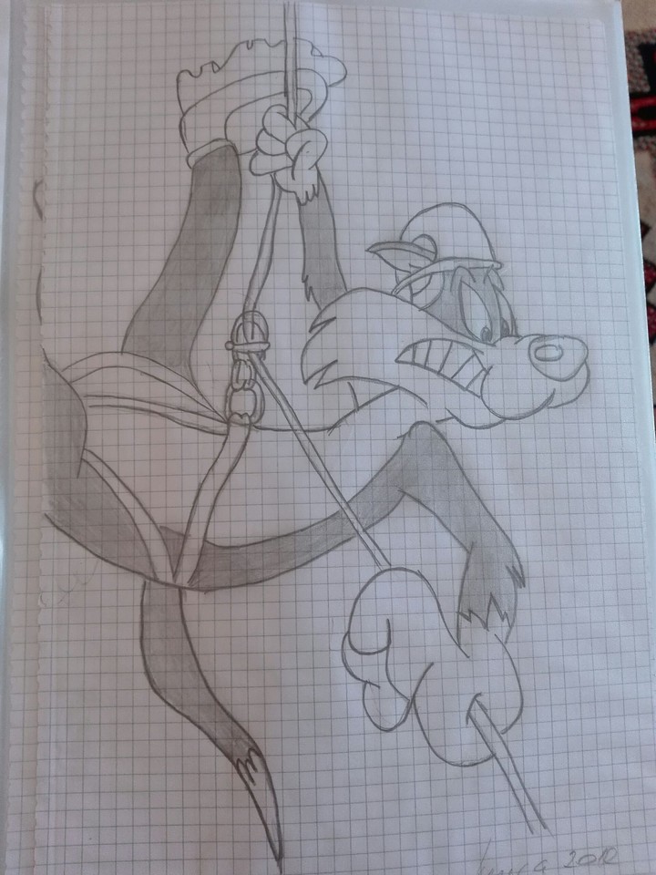 silvester
