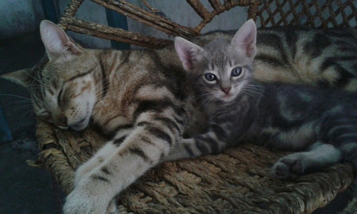 ♡Matilda y su baby Tomasito♡