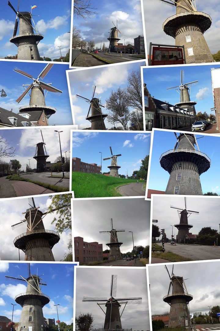 mooie Molens