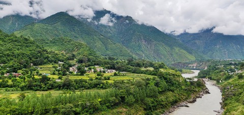nature