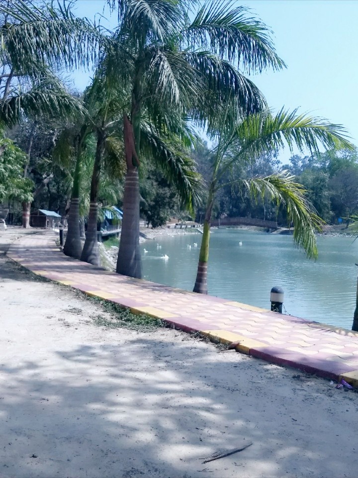 lake