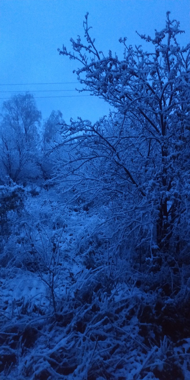 First snow