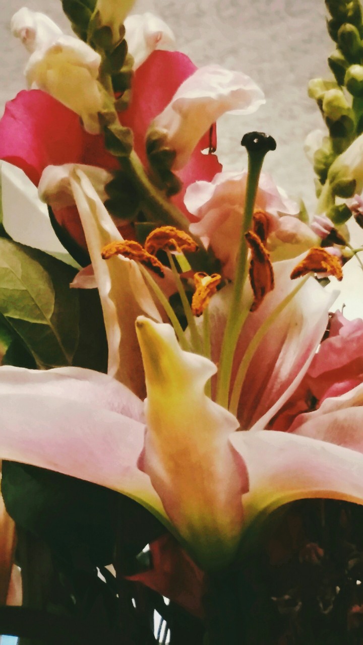 more flowers