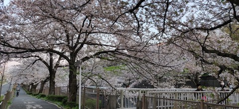 pathway