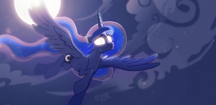 Fly In The Night Sky