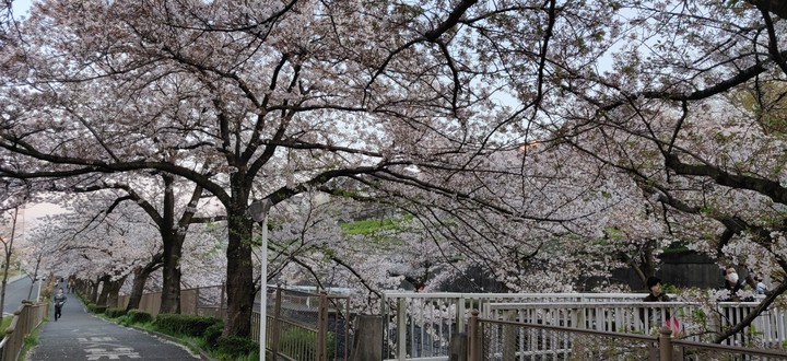 pathway