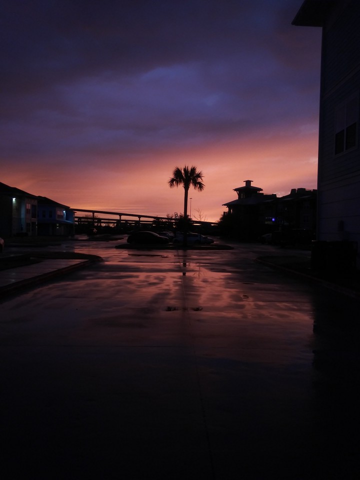 Pink ? night ?? theme