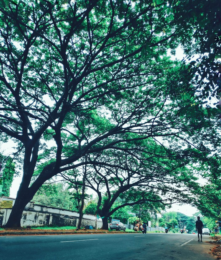road
