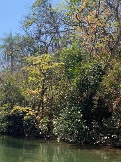 natureza,amor a vida.