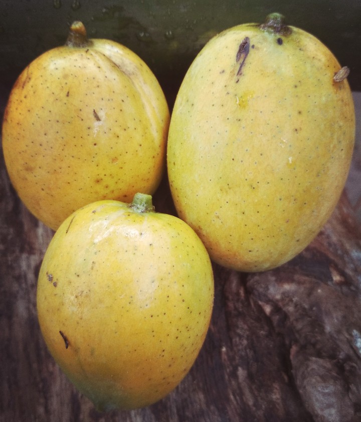 mango