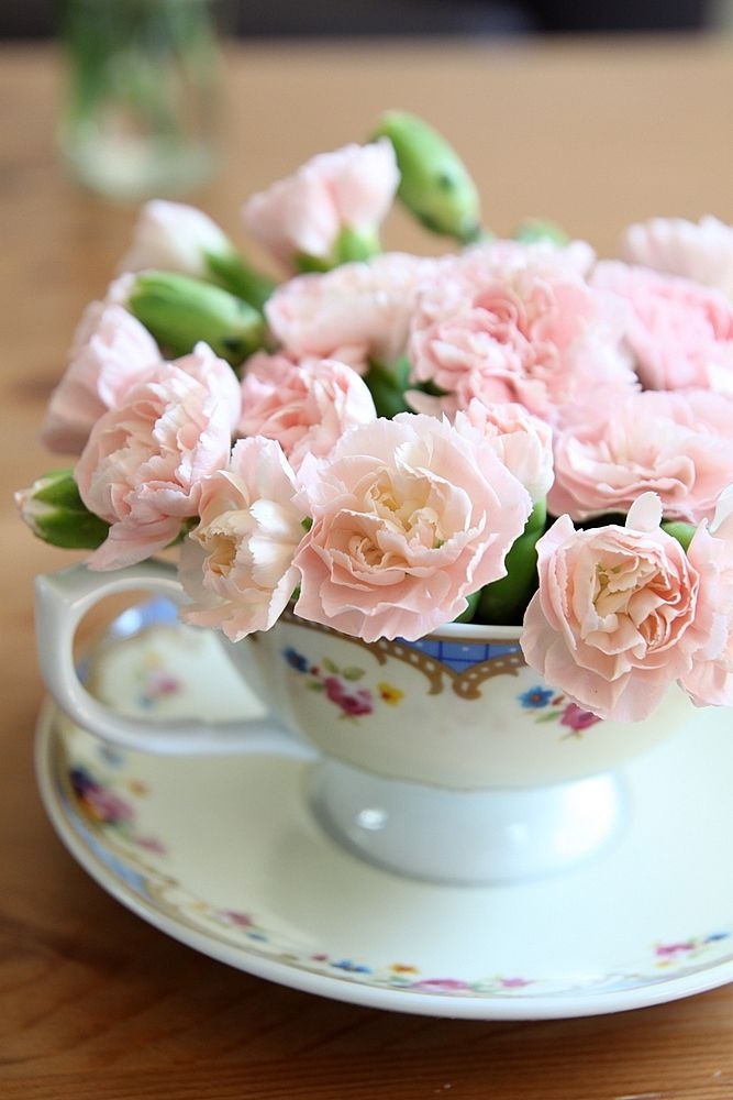 blossom