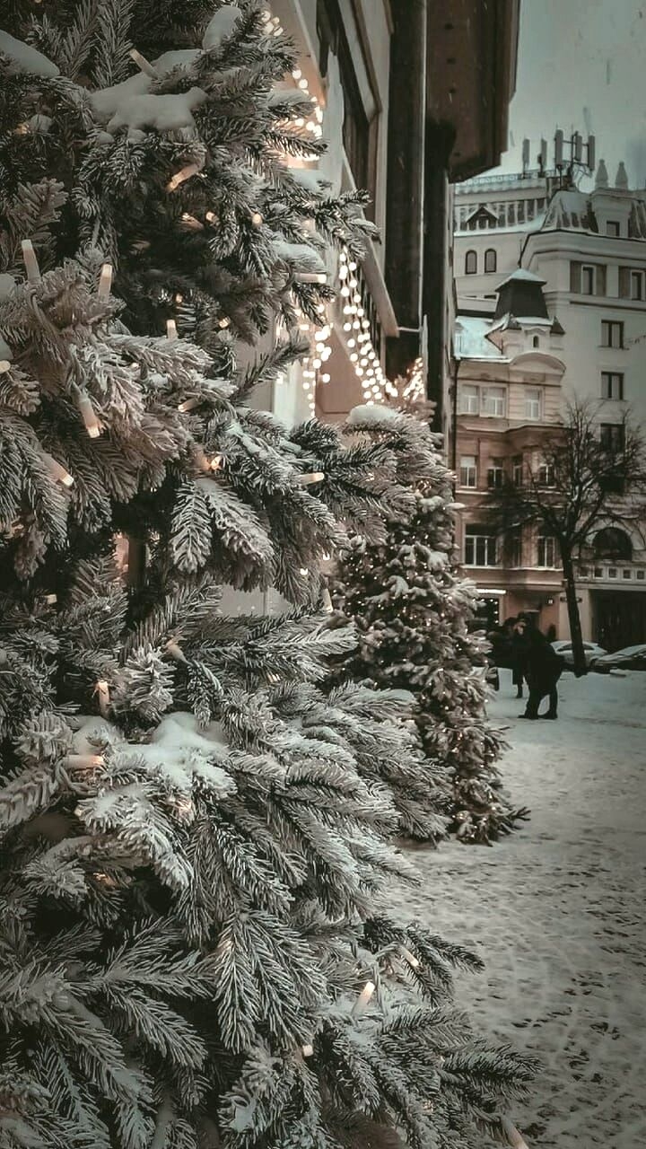 Зимові Вулиці.