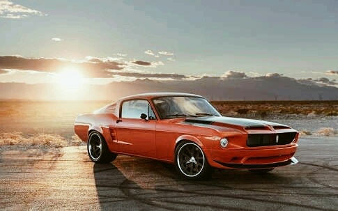 Mustang