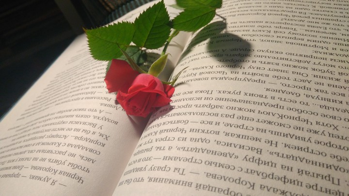 роза в книге