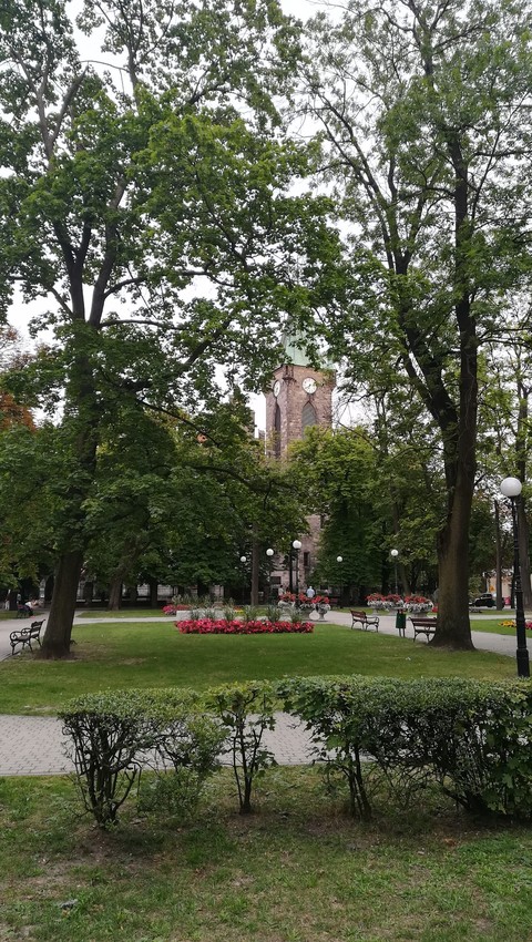 Końskie 2