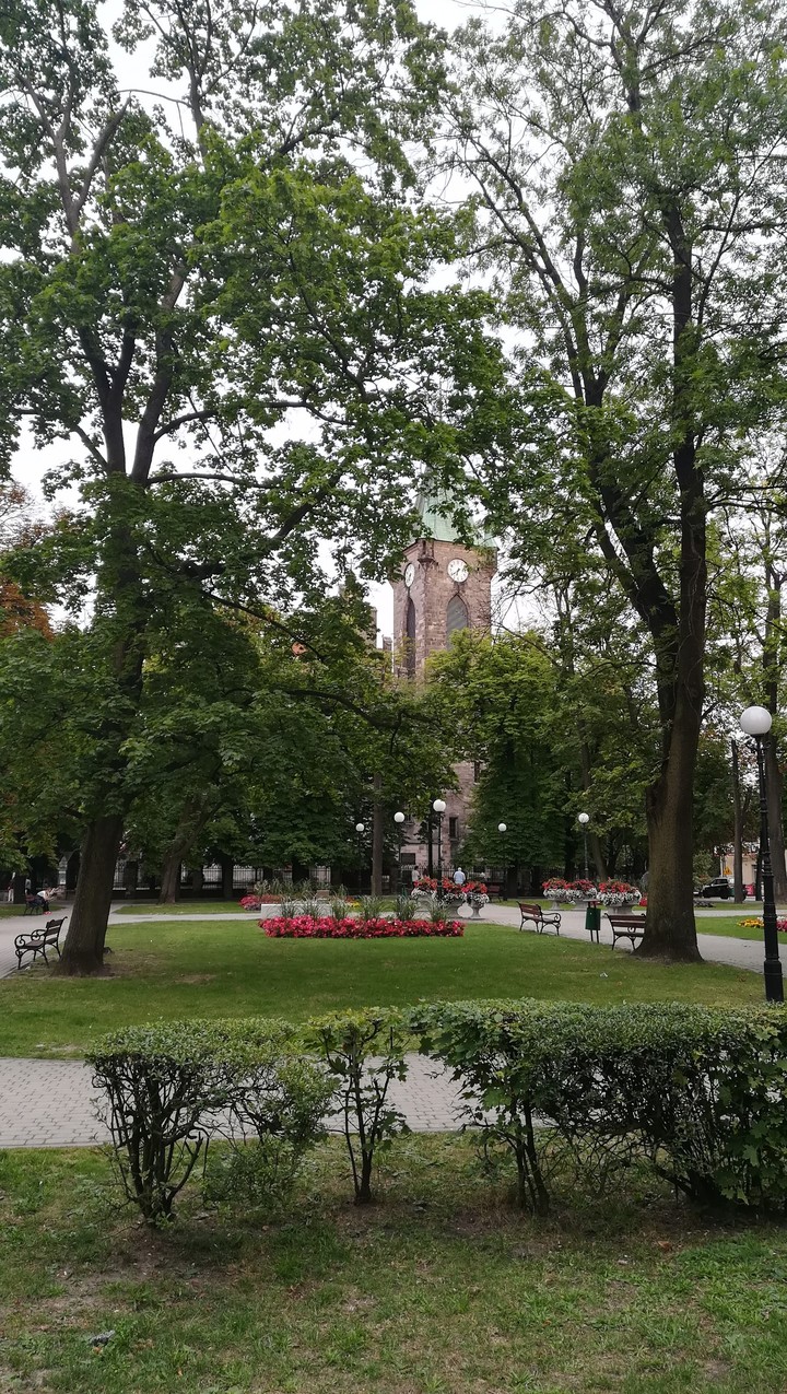 Końskie 2